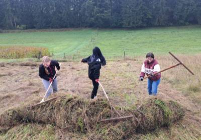 1000110366_original_copy_1