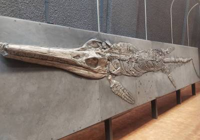 1000116756_original_copy_1