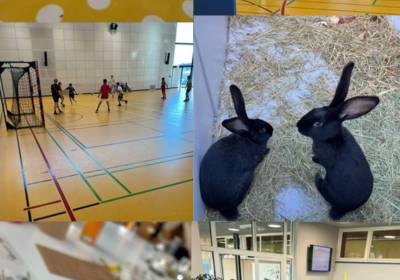 1762517959_original_copy_1_copy_1