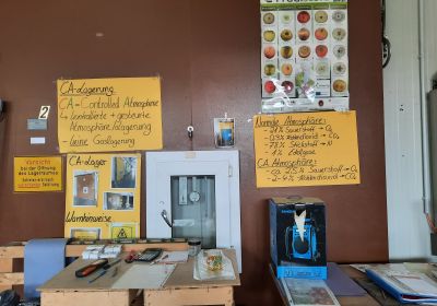 20230620_115444_copy_1