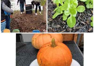 2023_11_27_20_18_59_940_original_copy_1