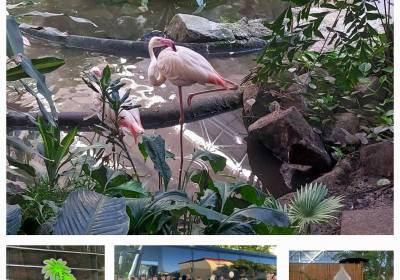 20250701_083635_original_copy_1