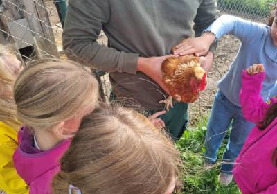 20250729_092034_original_copy_1