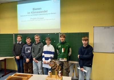 Bienen_original_copy_1