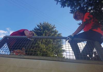 IMG-20241011-WA0020_original_copy_1