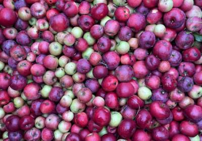 IMG_0638_original_copy_1_copy_1