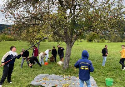 IMG_0639_original_copy_1_copy_1