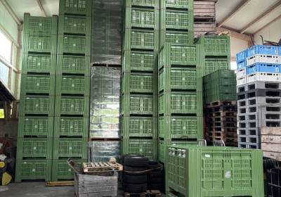 IMG_5944_original_copy_1_copy_1