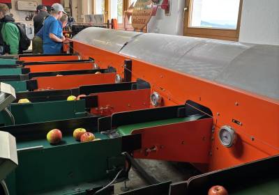 IMG_5948_original_copy_1