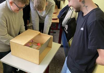 IMG_67321_original_copy_1_copy_1