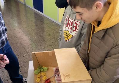 IMG_6737_original_copy_1_copy_1