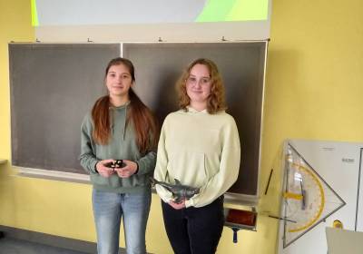 Megalodon_original_copy_1