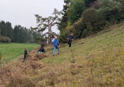 PXL_20241016_090836769.MP_original_copy_1