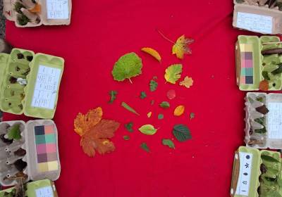 Wald_3_original_copy_1