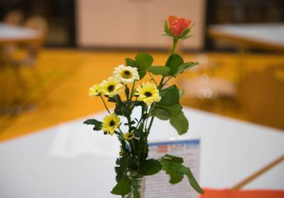 _DSC7117_original_copy_1_copy_1