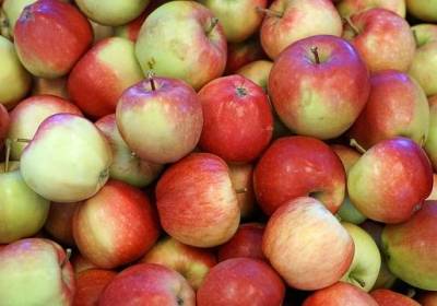 fruit-2143995_640_original_copy_1