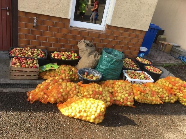 Unterrichtsprojekt in der heißen Phase 