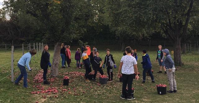 Die Irlandklasse im Dienst 
