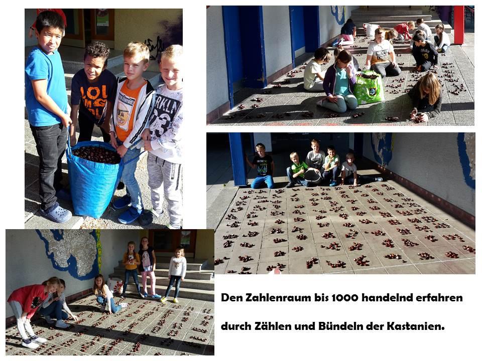 Kastanien und Mathematik in Klassenstufe 3