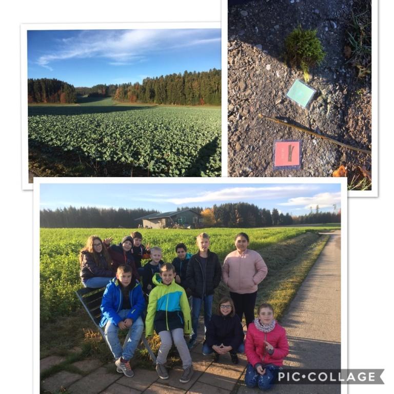 Klassenstufe 5 im grünen Klassenzimmer 