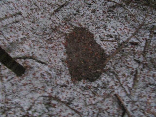 2019 01 25 HP GTS Foersteraktion 2