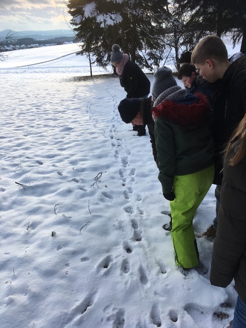 Spuren im Schnee mit Jäger Ralf Hube und der Umweltschutzgruppe Villingendorf 
