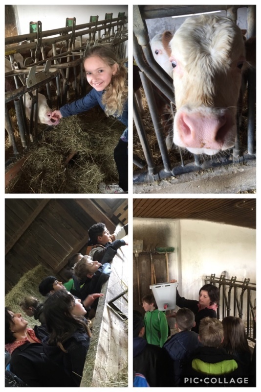 Lerngang der Fünftklässler zum Bauernhof