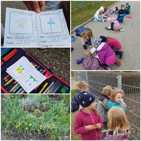 Den Frühblühern auf der Spur