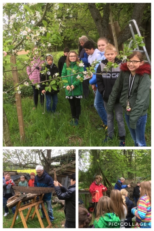 Klassenstufe 5 auf dem Wiesle