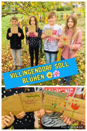 Villingendorf soll blühen - Blumenparadies ab sofort erhältlich 