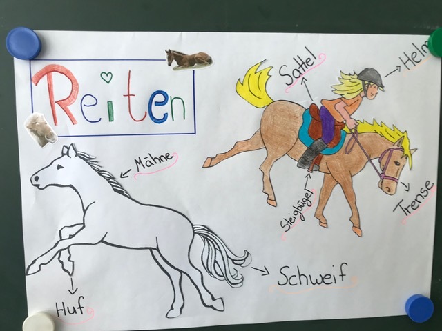Reiten