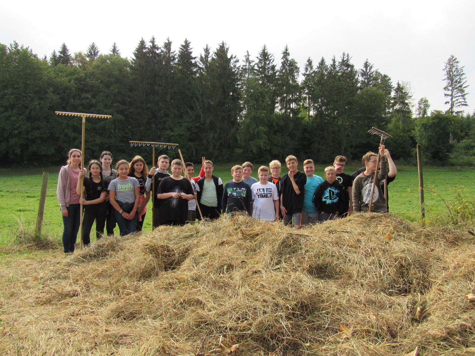 Heurechen im Rauhtal 