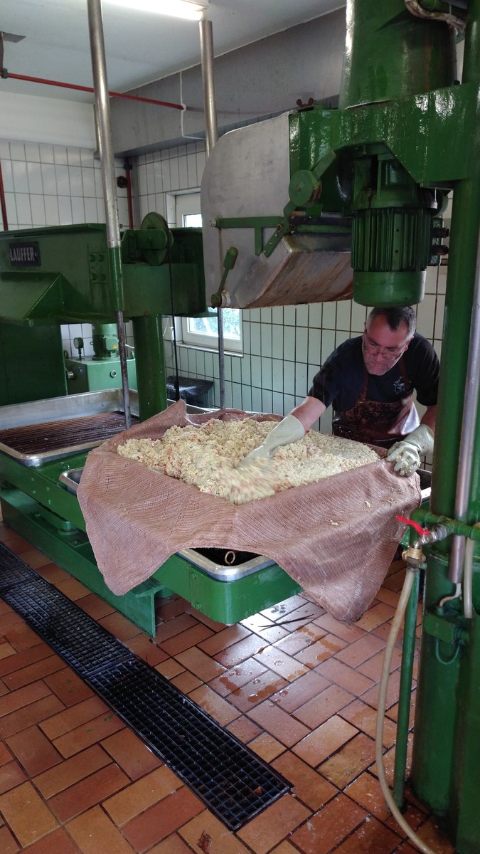 LivePhoto 20201008 150706