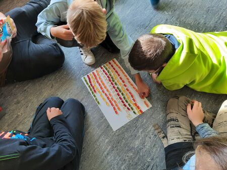 Daten im Mathematikunterricht der Klassenstufe 5