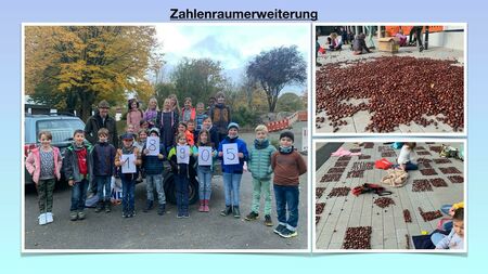 Zahlenraumerweiterung mit Kastanien