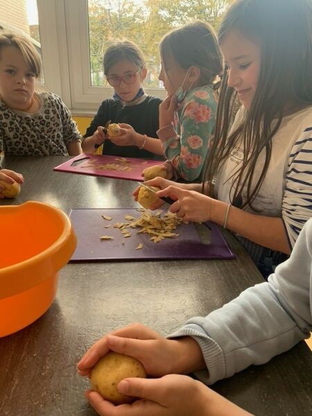 Rund um die Kartoffel