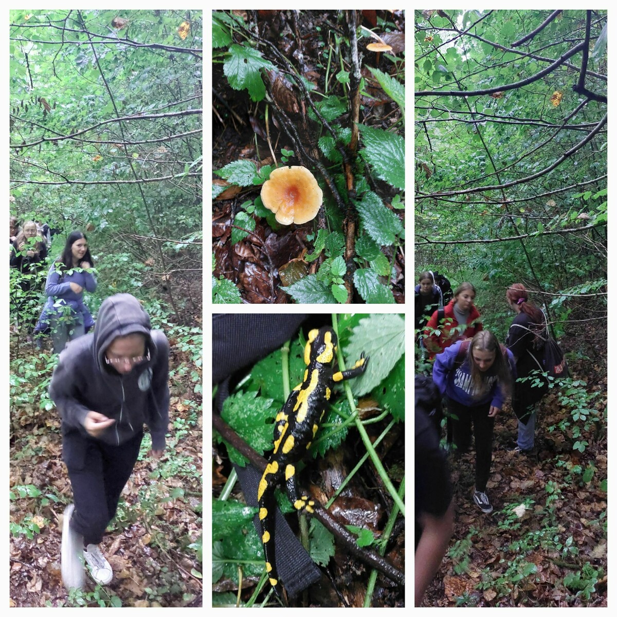 Wanderung zur Ruine Herrenzimmern