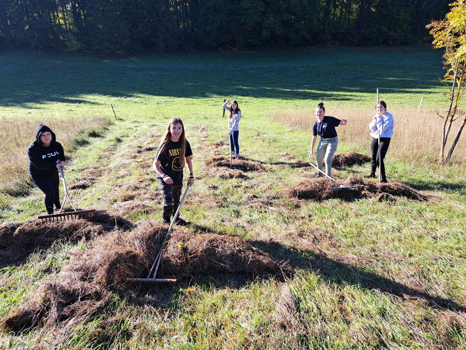 Die Irlandklasse kann auch Landschaftspflege 