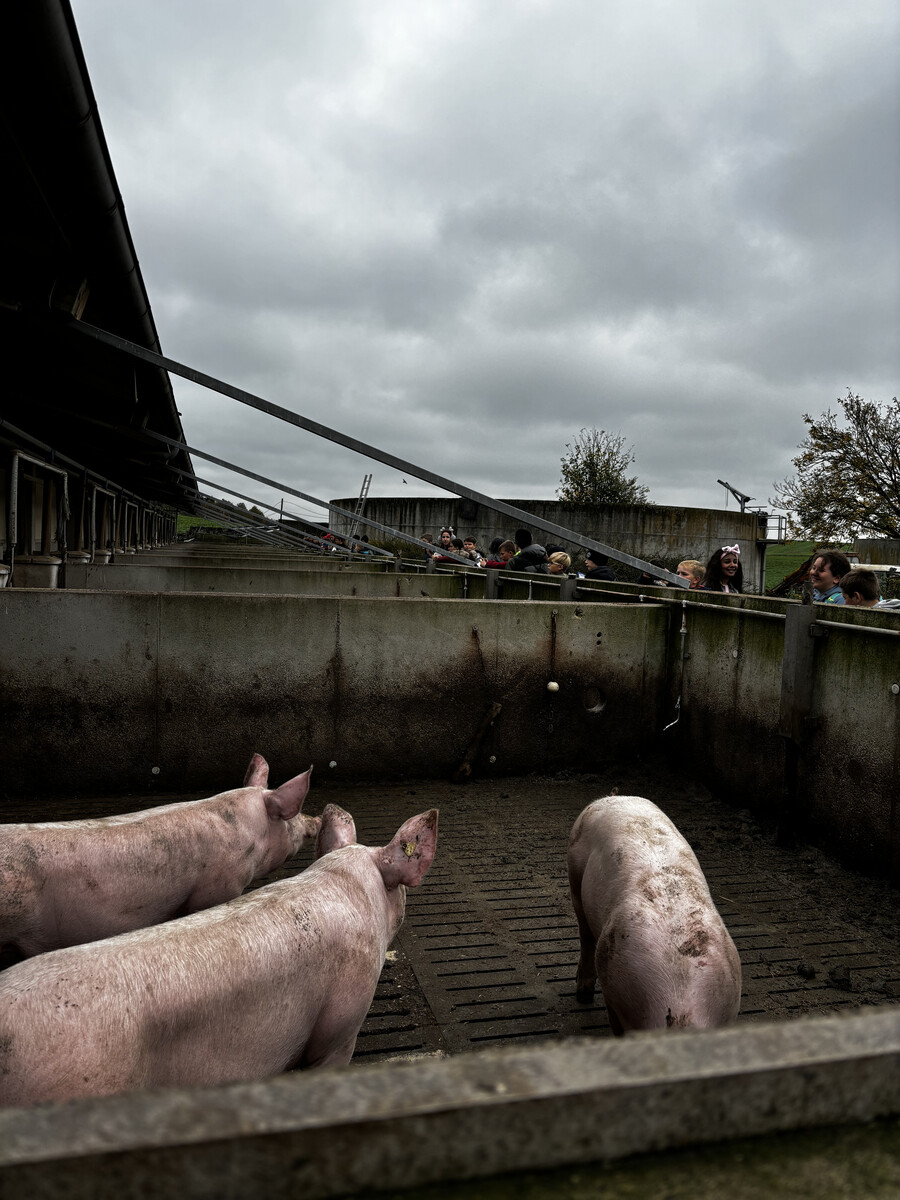 Interessanter Besuch eines landwirtschaftlichen Betriebes