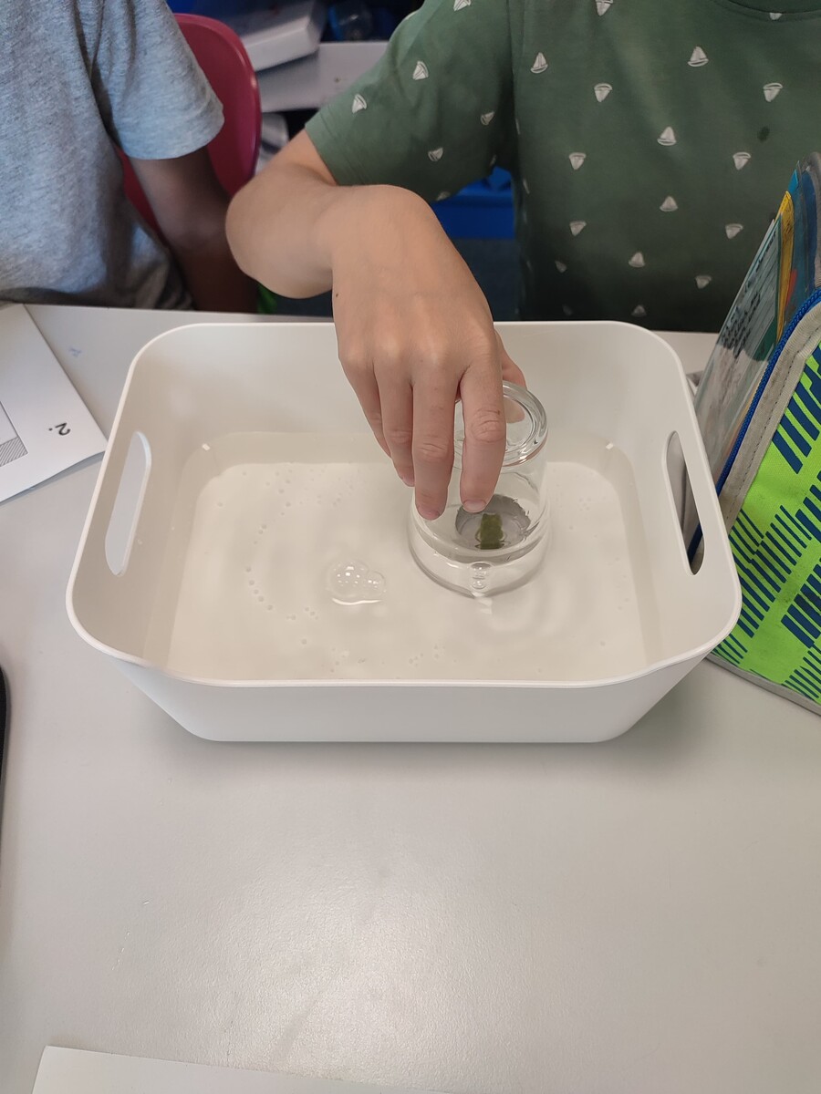 Forscherinnen und Forscher im Sachunterricht