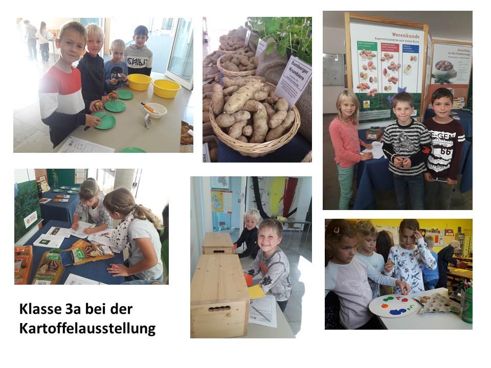 Besuch der Klassenstufe 3 der Ausstellung „Kartoffel – die tolle Knolle"
