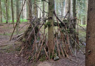 20240723_113910_original