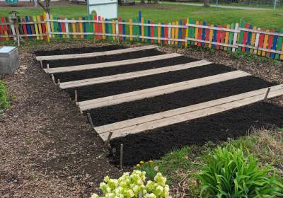 20250414_125057_original