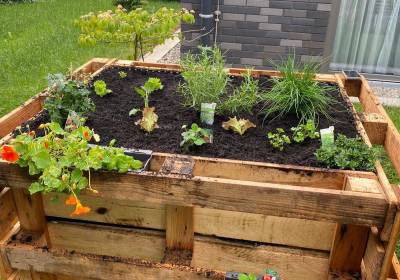 f464ede5-66da-4730-8d8f-5c903951f9f1_original