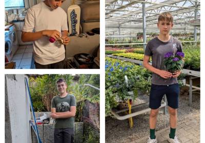 img_20240627_122534_original