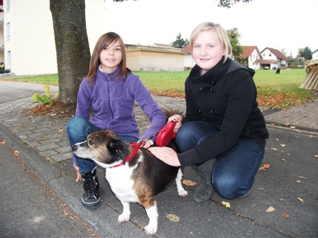 Klasse 7: Aktion "Irland 2012"