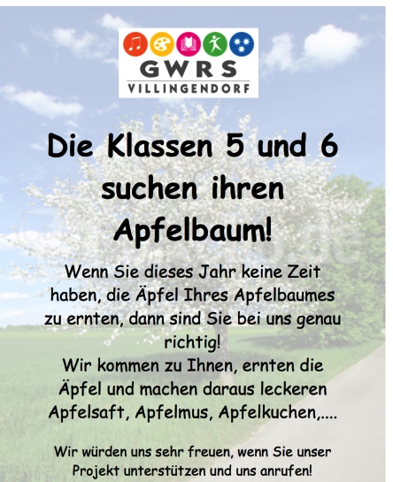 Die Klasse 6 startet das Apfelprojekt