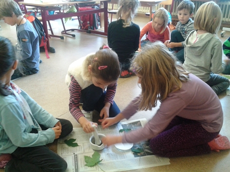 Warum werden im Herbst die Blätter bunt?