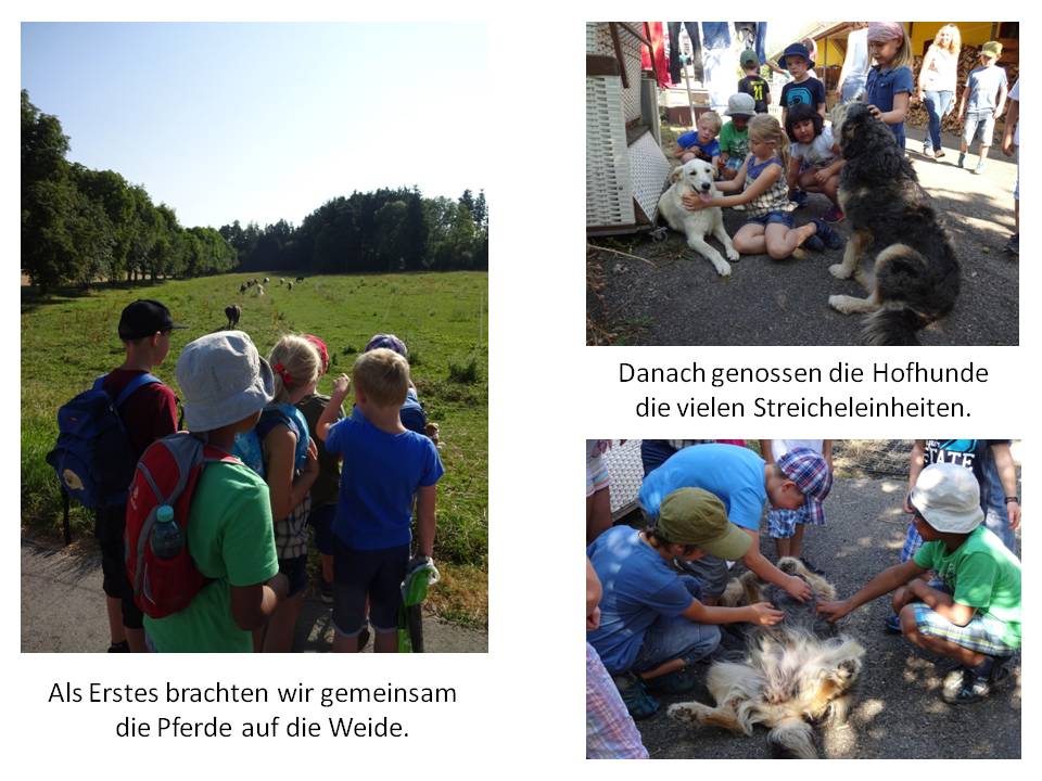 Ein Vormittag auf dem Bauernhof