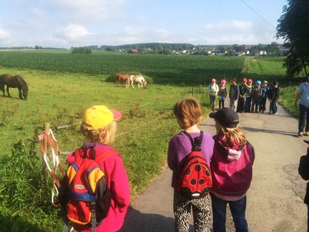 Klasse 1a besucht den Bauernhof
